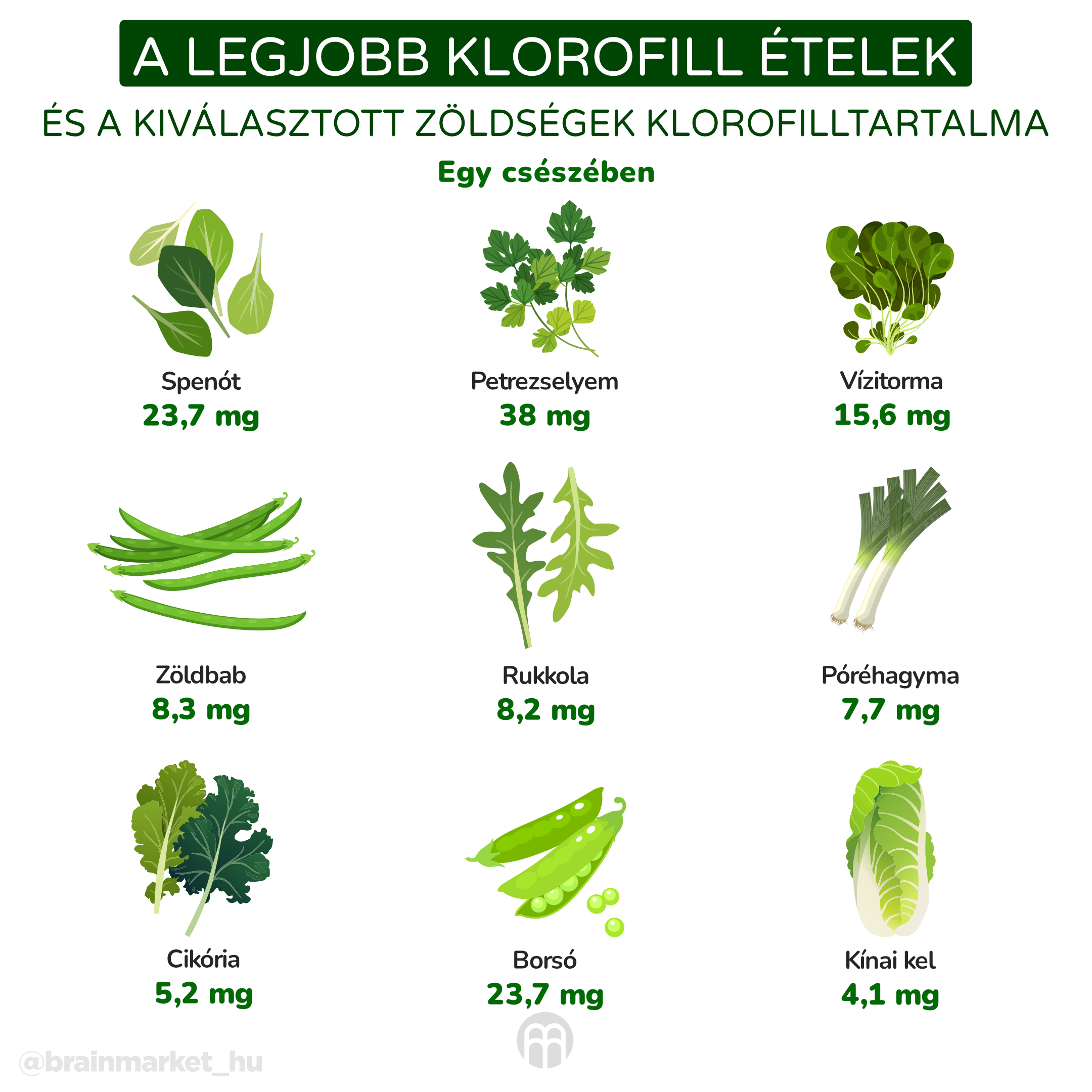 Nejlepší chlorofylové potraviyn_infografika_hu